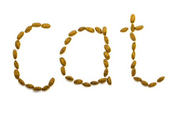 On white background is written cat.