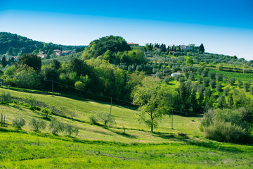 Fototapeta na wymiar Paesaggio toscano di campagna, colline coltivazioni, agricoltura