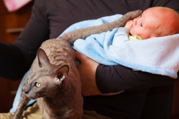 Newborn baby held by father and cat