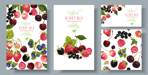 Berry mix banners set © purplebird