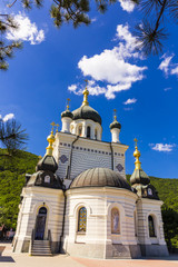 Fototapeta premium Aerial view on Church of Christ's Resurrection