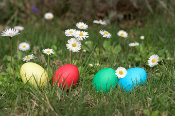 Easter eggs ina garden