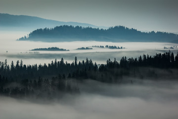 Obraz na płótnie Canvas Mountains Tatra and woods in fog, Zakopane, Poland