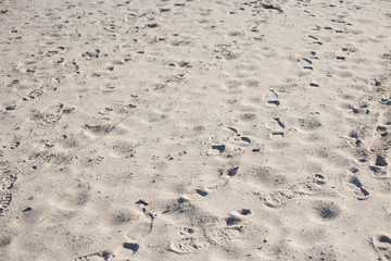 beautiful natural sand background