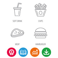 Hamburger, meat and soft drink icons. Chips fries linear sign. Award medal, growth chart and opened book web icons. Download arrow. Vector
