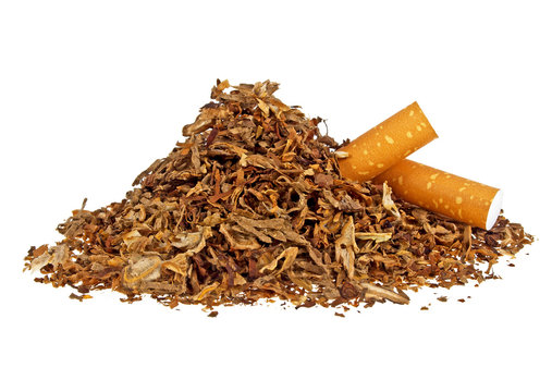 Dried smoking tobacco and cigarette filters on white background