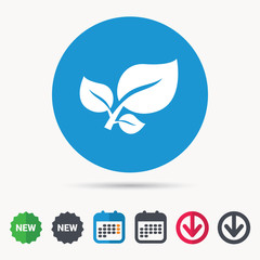 Leaf icon. Fresh organic product symbol. Calendar, download arrow and new tag signs. Colored flat web icons. Vector