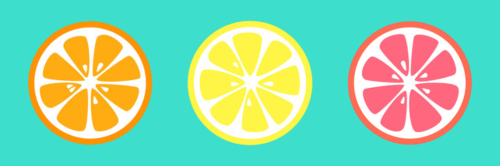Banner with citrus fruits. Vector. 