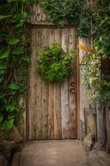 Wooden door in an old cottage in the forest covered with grass