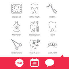 Stomatology, tooth and dental crown icons. X-ray, mouthwash and dental floss linear signs. Toothache, forceps icons. New tag, speech bubble and calendar web icons. Vector