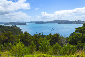 Fototapeta na wymiar View to Sullivans Bay Mahurangi Auckland New Zealand
