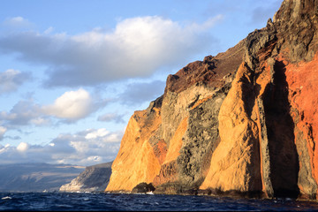 Offshore Guadalupe Island Mexico