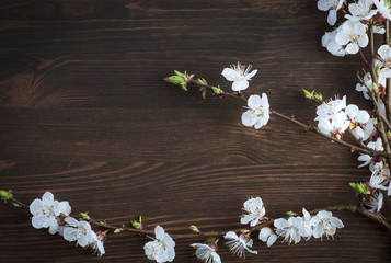 Blooming cherry branch with white flowers on a brown wooden surface