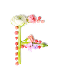 Letter F made of flowers and herbs on white background