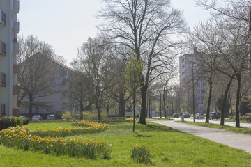 Bremen-Marssel im Frühling