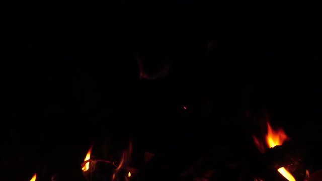 Burning wood. Night fire. Slow motion