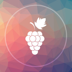 Grape icon