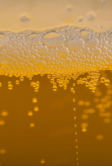 Bierschaum Makroaufnahme