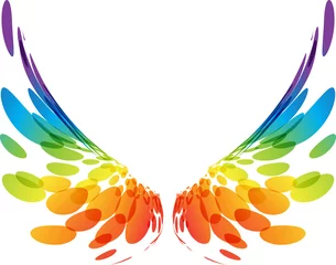 Fotobehang Pair colorful wings on white © sinaappel