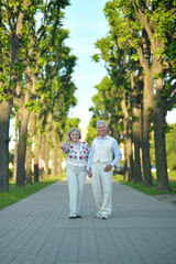 Fototapeta na wymiar Elderly couple on a summer walk