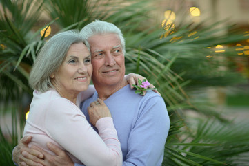 Fototapeta premium Cute elderly couple on a summer walk