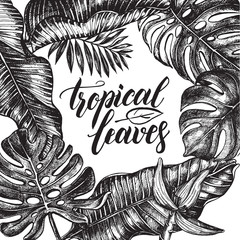 Background with Ink hand drawn tropical elements - Banana leaves and flower, monstera, palm leaves. Template for cards, leaflets, labels with brush calligraphy style lettering. Vector illustration.