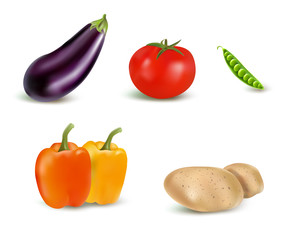 Eggplant, tomato, peas, paprika, potato vector illustration. Made with gradient mesh.