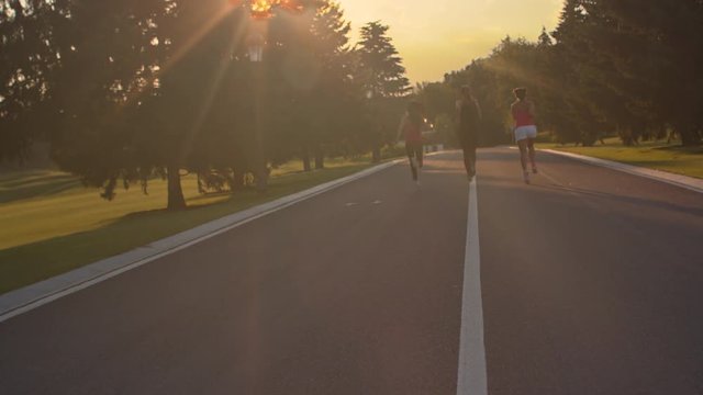 Fitness women running on park road. Women group running outdoors at sunset. Female runners group training at sunset. Fitness women running in park. Three sport women jogging at sunset