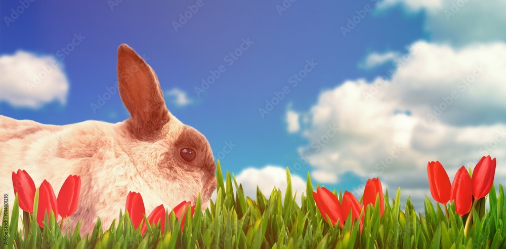 Poster composite image of side view of brown rabbit sitting