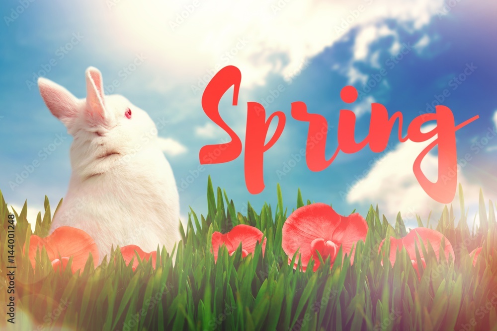 Poster composite image of rear view of cute rabbit