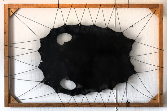 The skin of polar cat (seal) stretched on a wooden frame for drying in the village of Oqatsut (near Ilulissat) - Greenland