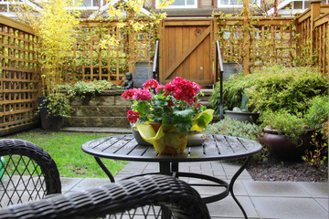 Small patio garden in early spring