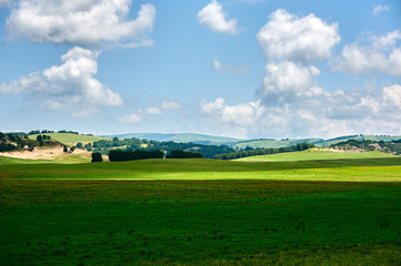 The summer grassland  scenery.