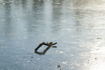 lac gelé