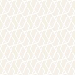 Vector Seamless Pattern. Abstract Geometric Background Design. Stylish Lattice Texture
