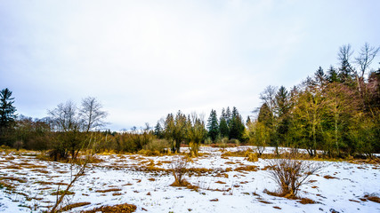 Winter landscape with snow covered grass fields in Campbell Valley Park in the township on Langley in British Columbia, Canada on a nice winter day
