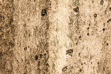 Old  plaster on the wall.