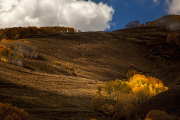 Autumn in rural Colorado