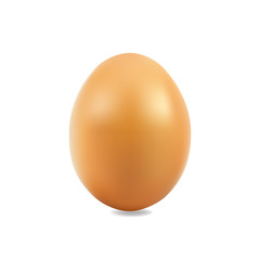 Single brown chicken egg isolated on white