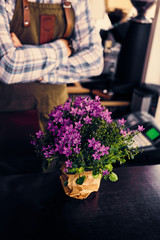 Decorative purple flowers in a pot.