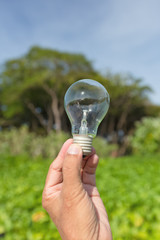 light blub in man's hand