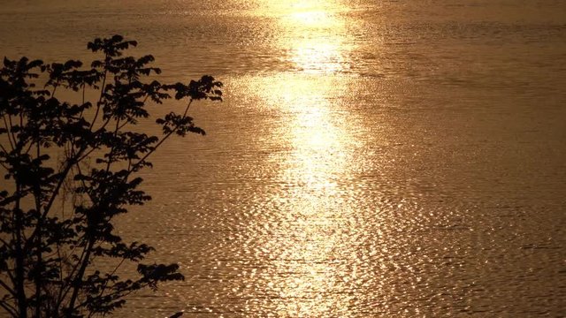 4K・夕日に染まる川_4-303