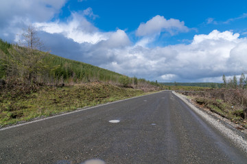 Logging Road On Mountain