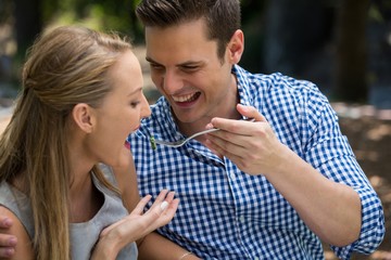 Fototapeta premium Smiling man feeding woman at outdoor restaurant