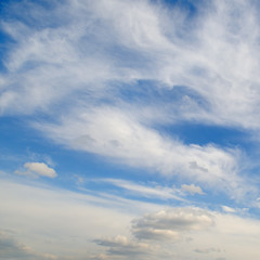 blue sky and white cumulus clouds