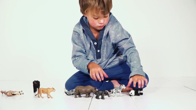 mutter und sohn spielen gemeinsam mit verschiednen plastiktieren