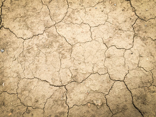 Dry soil, cracked ground background.