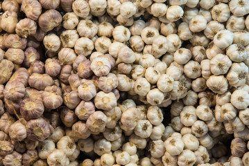 Close up of garlic in market at Bangkok, Thailand.