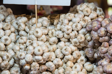 Close up of garlic in market at Bangkok, Thailand.