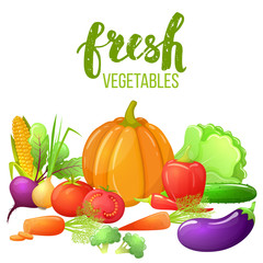 Set of colorful cartoon vegetables with pumpkin, corn, tomato, pepper, eggplant, beetroot. Fresh vegetarian natural food. Vector.